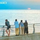 언니네축산 이미지
