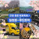 빅토리푸드 | 안양 충훈 벚꽃축제 실시간🌸｜벚꽃 많음 + 일정표 + 푸드트럭 정보