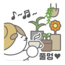 다쿠아랑