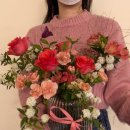 수니플레르 이미지