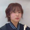 에이치파마 이미지