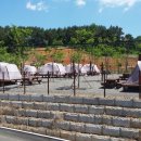 서천 금빛노을 서울캠핑장 이미지