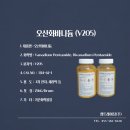 V-2 이미지