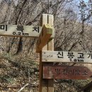 미륵산농장 Daum카페