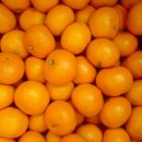 양지청과 이미지