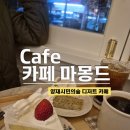 양재 디저트카페 카페 마몽드, 양재시민의숲 감성카페, 케이크 맛집