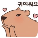 김명후다이어트복싱클럽 이미지