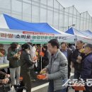 봉화쌀.떡