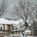 평창현대스위트빌리지 이미지