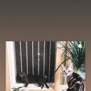 베토벤피아노학원 이미지