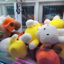 인형뽑기 이미지