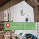 [숙대 입구역 소품샵 추천] 어티피컬 (Atypical) 방문 후기