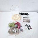 원데이 어버이날 프리저브드 카네이션 유리돔 만들기 | 어버이날 카네이션 플라워무드등 스승의날 선물