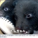 지리산밧데리 이미지