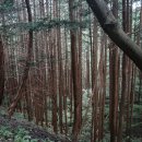 생동스튜디오 이미지