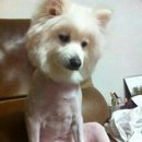 지금 네이버블로그