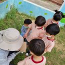 석정초병설유치원 이미지