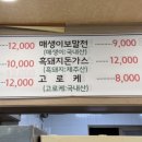 표선리-8 네이버블로그
