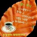 하루의 행복 이미지
