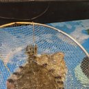 서준활어 이미지