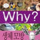 원리과학 WHY 이미지
