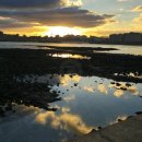 일출해장국 이미지