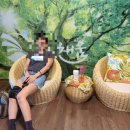 하루효소편백 이미지