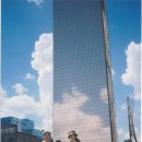 메모리스타 이미지