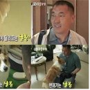 아모르디 이미지