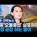 [일반] 김정은 죽은 거 아님? 이미지