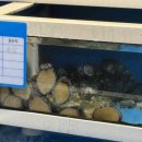 명륜1번가2 | [부산/동래] 동래 술집, 해산물+조개찜이 유명한 <대끼리야> 방문 후기