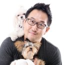 엔젤애견 이미지