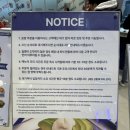 오니버거 | 부산롯데광복점 다운타우너 후기 | 아보카도버거 찐 맛, 아이랑 가기 좋은 수제버거