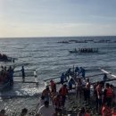 여행-세부에서 고래상어 보기 / 오슬롭, 모알보알, 투말록 폭포 투어 내돈내산 후기와 카지노 방문 후기