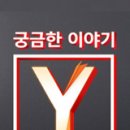 김미경 동물병원 | 궁금한이야기Y 모찌 입양 호치 시한부 견주 조작 무당 혐의 짙어