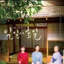 일일시호일 이미지