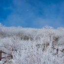 설천면109 이미지