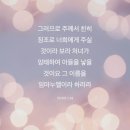 이사야주