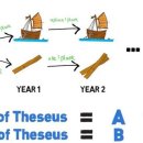 테세우스의 배(Ship of Theseus) 이미지