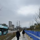 강원특별자치도청소년수련원 고은터 | 2025 춘천마라톤 응원 방법, 장소, 후기 | 혼자 도보, 대중교통 이용 방법