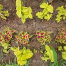 단원구청 이미지