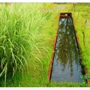 웃는 숲 이미지