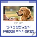 반려견 행동교정사 취업과 반려동물 훈련사 자격증 전망