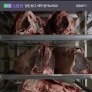 솔트바이펩