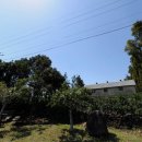 위미3리 이미지