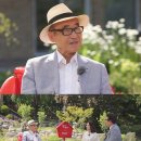 고운고은