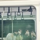 민성목장 이미지