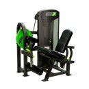 몸에 봄을 피우다 이미지