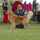 BOSS켄넬 이미지