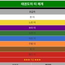 용인대 파랑 태권도장 이미지